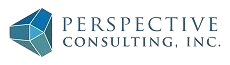 perspective_consulting_logo-e1608269360489-removebg-preview